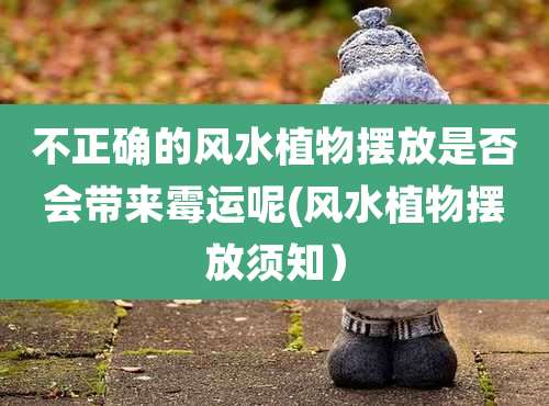 不正确的风水植物摆放是否会带来霉运呢(风水植物摆放须知)