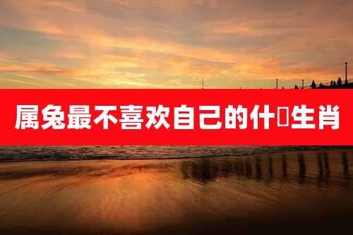 属兔最不喜欢自己的什麼生肖