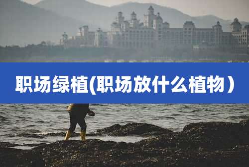 职场绿植(职场放什么植物）