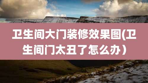 卫生间大门装修效果图(卫生间门太丑了怎么办）