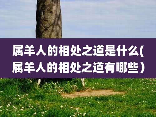 属羊人的相处之道是什么(属羊人的相处之道有哪些）