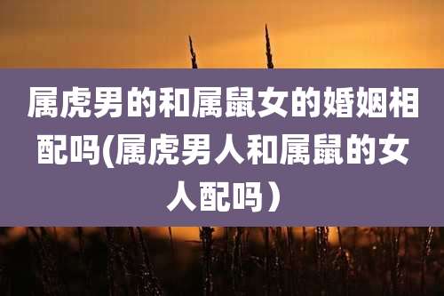 属虎男的和属鼠女的婚姻相配吗(属虎男人和属鼠的女人配吗）