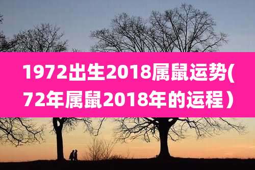 1972出生2018属鼠运势(72年属鼠2018年的运程)