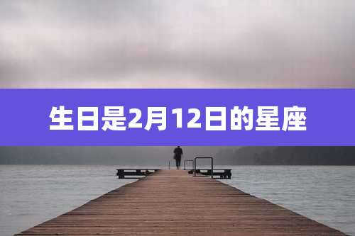 生日是2月12日的星座