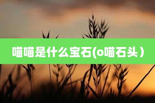 喵喵是什么宝石(o喵石头）