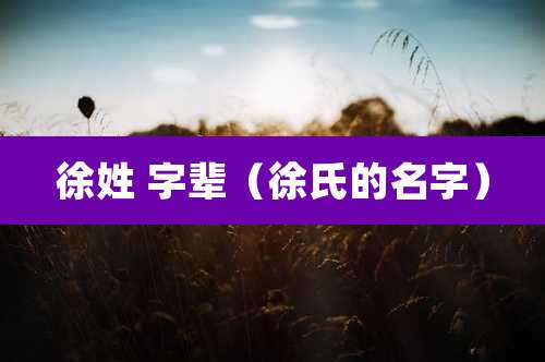 徐姓 字辈（徐氏的名字）