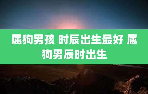 属狗男孩 时辰出生最好 属狗男辰时出生