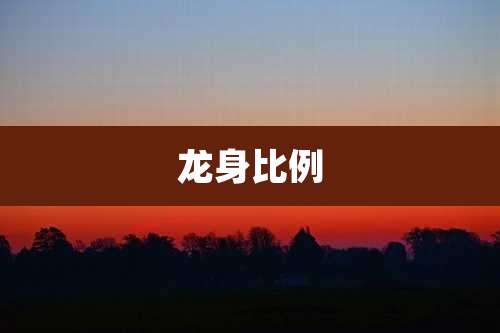 龙身比例