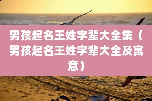 男孩起名王姓字辈大全集（男孩起名王姓字辈大全及寓意）