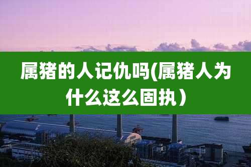 属猪的人记仇吗(属猪人为什么这么固执）