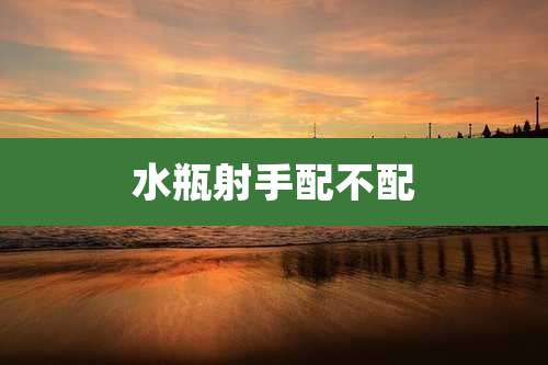 水瓶射手配不配