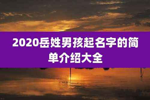 2020岳姓男孩起名字的简单介绍大全