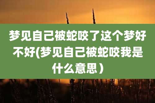 梦见自己被蛇咬了这个梦好不好(梦见自己被蛇咬我是什么意思）