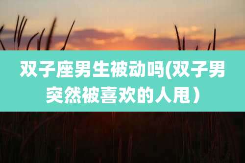 双子座男生被动吗(双子男突然被喜欢的人甩）