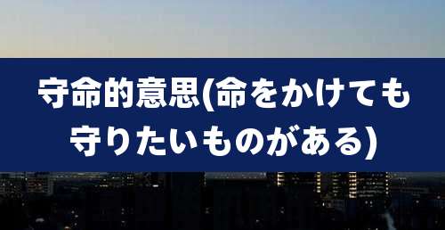 守命的意思(命をかけても守りたいものがある)