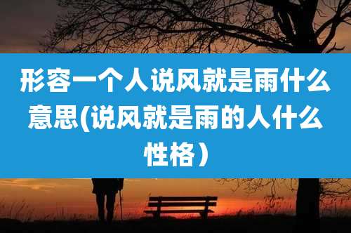 形容一个人说风就是雨什么意思(说风就是雨的人什么性格)
