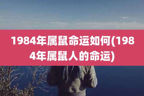1984年属鼠命运如何(1984年属鼠人的命运)