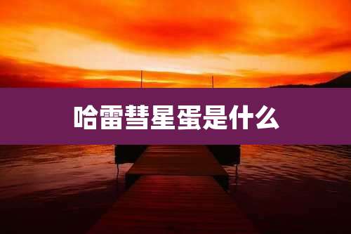 哈雷彗星蛋是什么