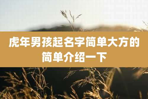 虎年男孩起名字简单大方的简单介绍一下