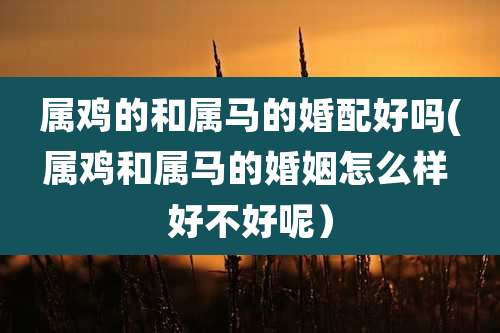 属鸡的和属马的婚配好吗(属鸡和属马的婚姻怎么样 好不好呢)