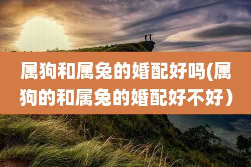 属狗和属兔的婚配好吗(属狗的和属兔的婚配好不好)