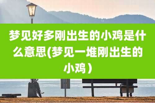 梦见好多刚出生的小鸡是什么意思(梦见一堆刚出生的小鸡）