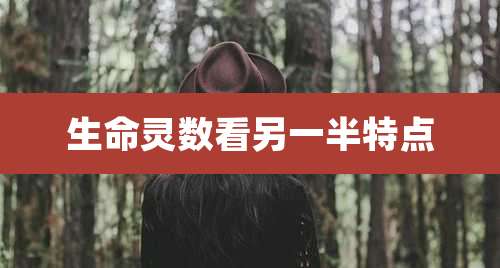 生命灵数看另一半特点