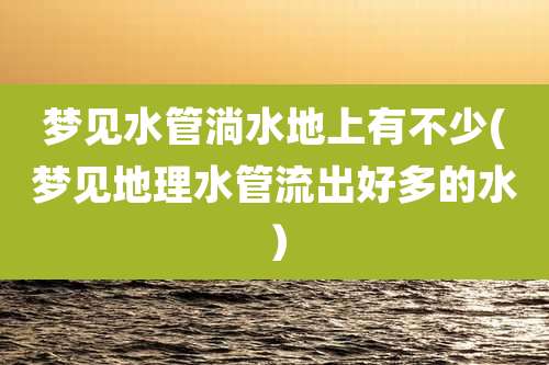 梦见水管淌水地上有不少(梦见地理水管流出好多的水)