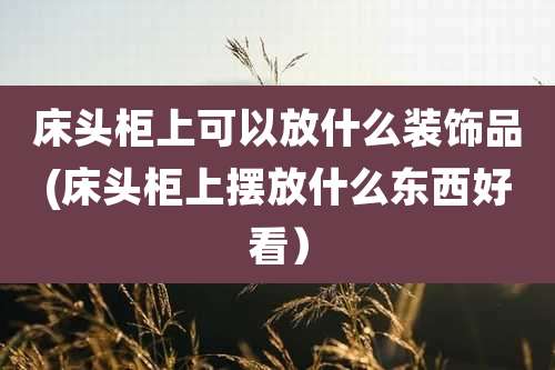 床头柜上可以放什么装饰品(床头柜上摆放什么东西好看)