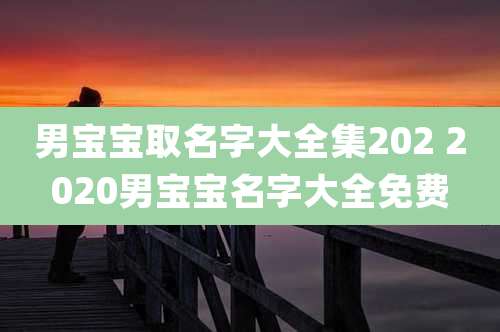 男宝宝取名字大全集202 2020男宝宝名字大全免费