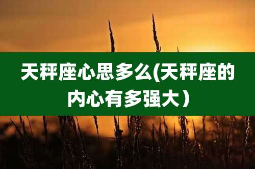 天秤座心思多么(天秤座的内心有多强大)