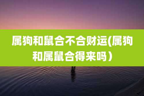 属狗和鼠合不合财运(属狗和属鼠合得来吗）