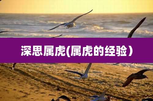 深思属虎(属虎的经验)