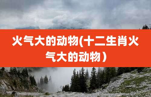 火气大的动物(十二生肖火气大的动物)