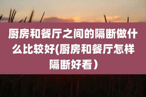 厨房和餐厅之间的隔断做什么比较好(厨房和餐厅怎样隔断好看）