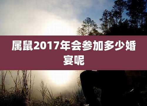 属鼠2017年会参加多少婚宴呢