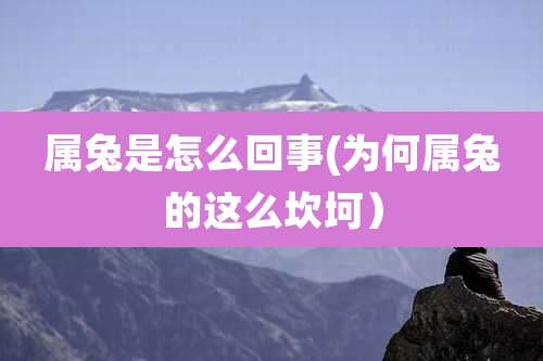 属兔是怎么回事(为何属兔的这么坎坷)