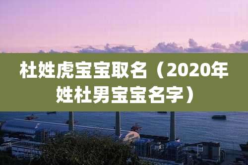 杜姓虎宝宝取名(2020年姓杜男宝宝名字)