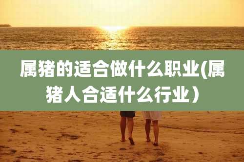 属猪的适合做什么职业(属猪人合适什么行业)