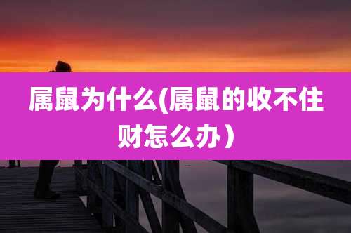 属鼠为什么(属鼠的收不住财怎么办）