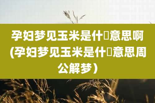 孕妇梦见玉米是什麼意思啊(孕妇梦见玉米是什麼意思周公解梦)
