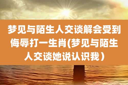 梦见与陌生人交谈解会受到侮辱打一生肖(梦见与陌生人交谈她说认识我)