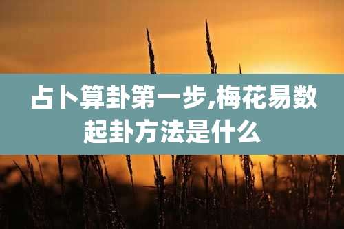 占卜算卦第一步,梅花易数起卦方法是什么