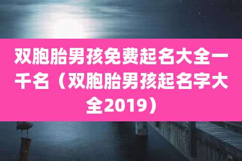 双胞胎男孩免费起名大全一千名（双胞胎男孩起名字大全2019）