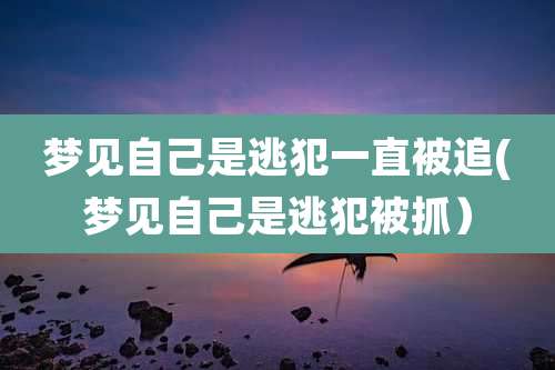 梦见自己是逃犯一直被追(梦见自己是逃犯被抓）