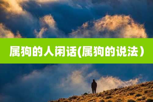 属狗的人闲话(属狗的说法)