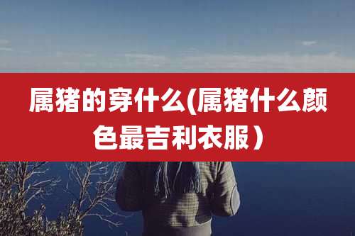 属猪的穿什么(属猪什么颜色最吉利衣服)