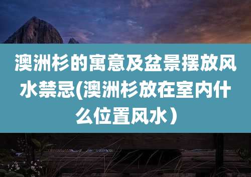 澳洲杉的寓意及盆景摆放风水禁忌(澳洲杉放在室内什么位置风水)