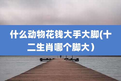 什么动物花钱大手大脚(十二生肖哪个脚大)