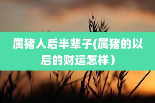属猪人后半辈子(属猪的以后的财运怎样）